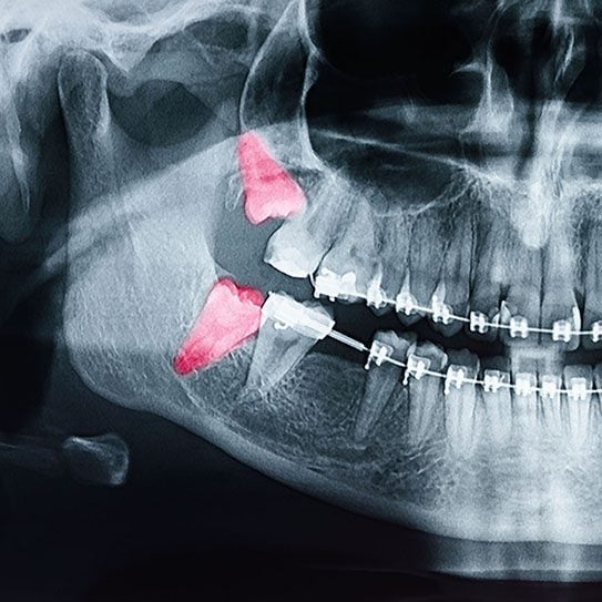 - RockCenter Orthodontics